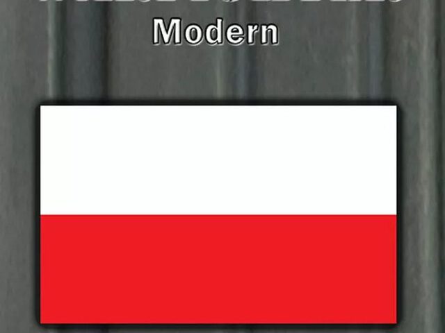 Polish Soldiers (Modern-Daylight Erweiterung #27)