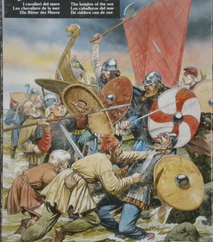 Viking Raiders